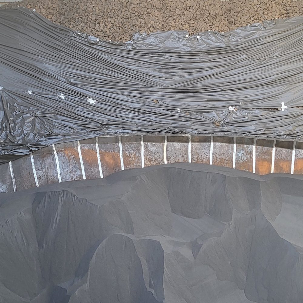 Cargo survey dry bulk (1)